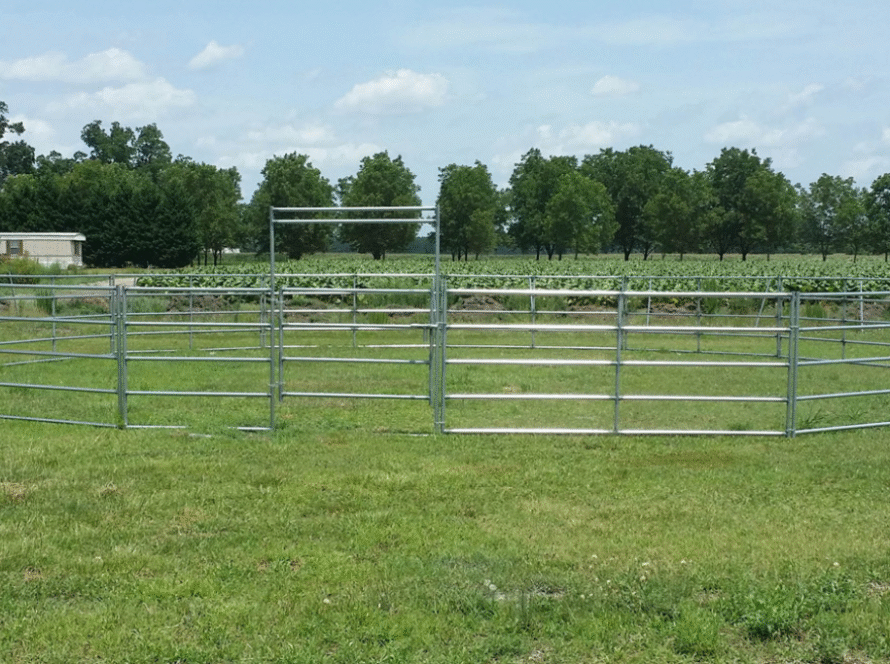 Florida Panels and Gates corral panels with proper spacing to enhance animal comfort and safety